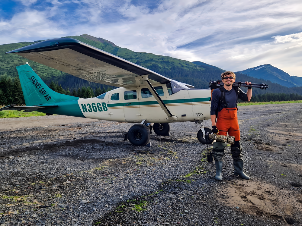 Coastal brown bear at low tide in Alaska