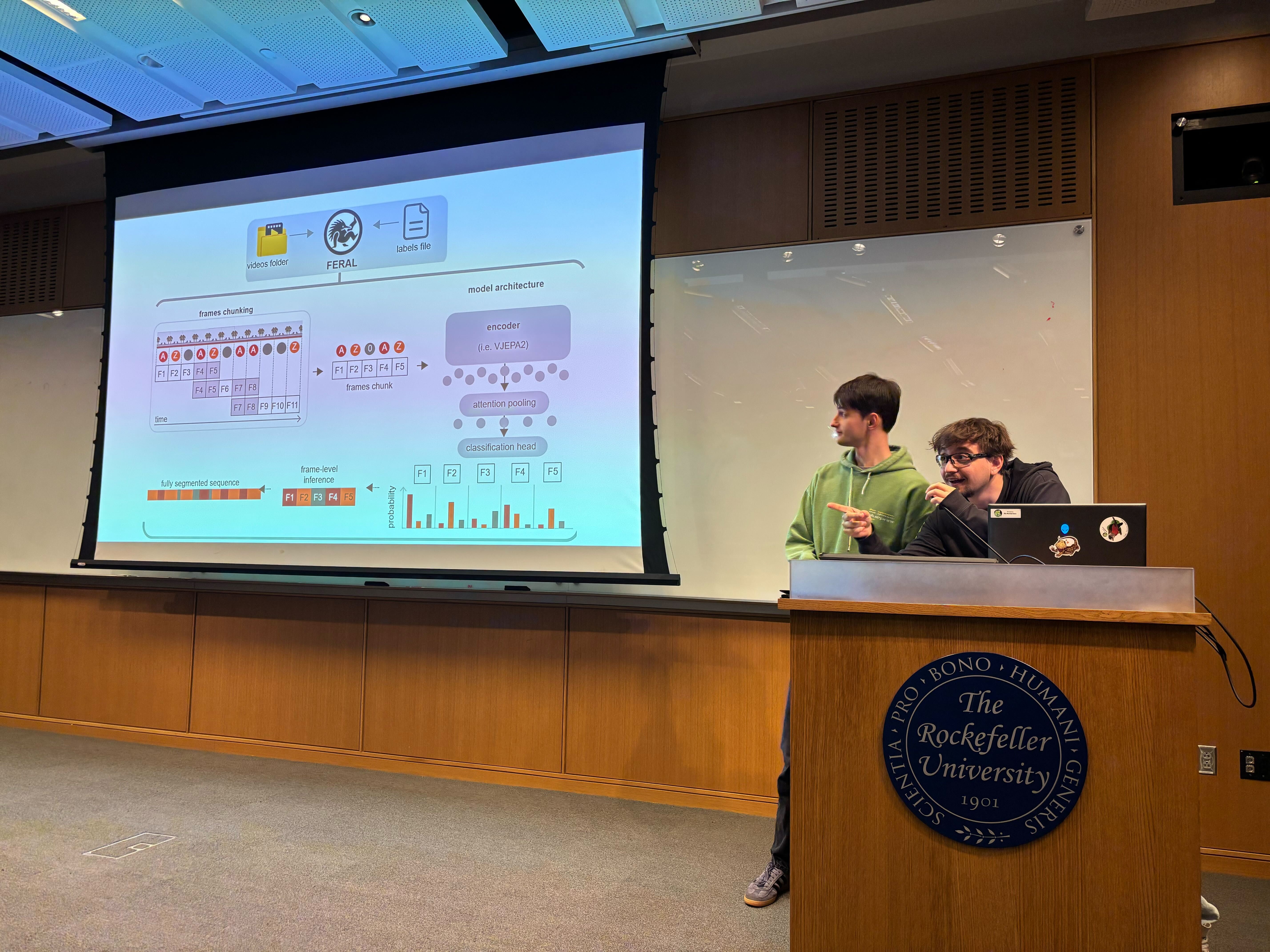Giving a talk on mosquito behaviour and FERAL