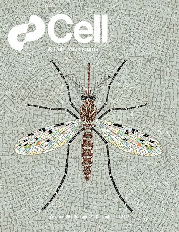 Pic of mosquito mating