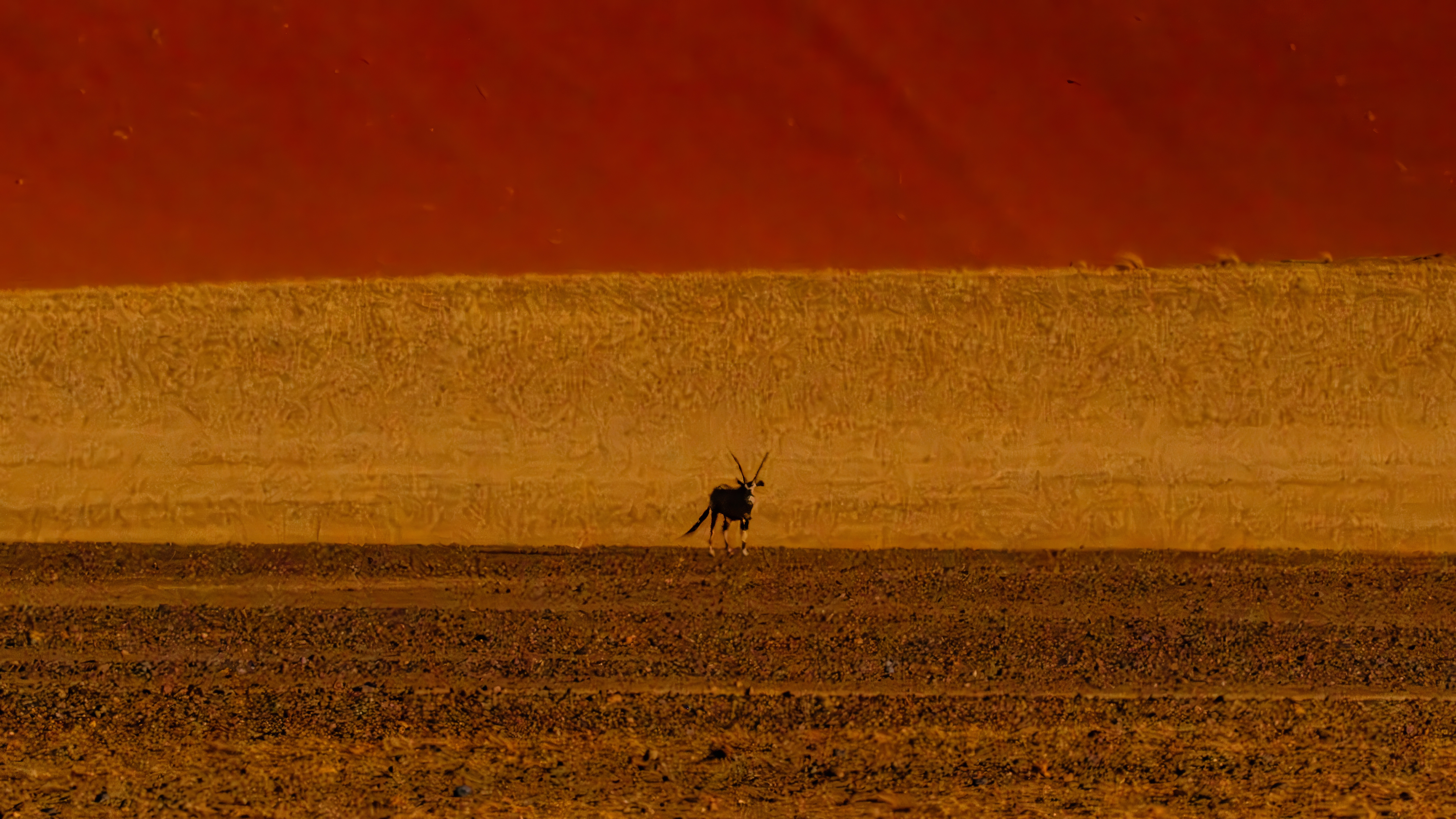 Oryx silhouette against red Sossusvlei dune