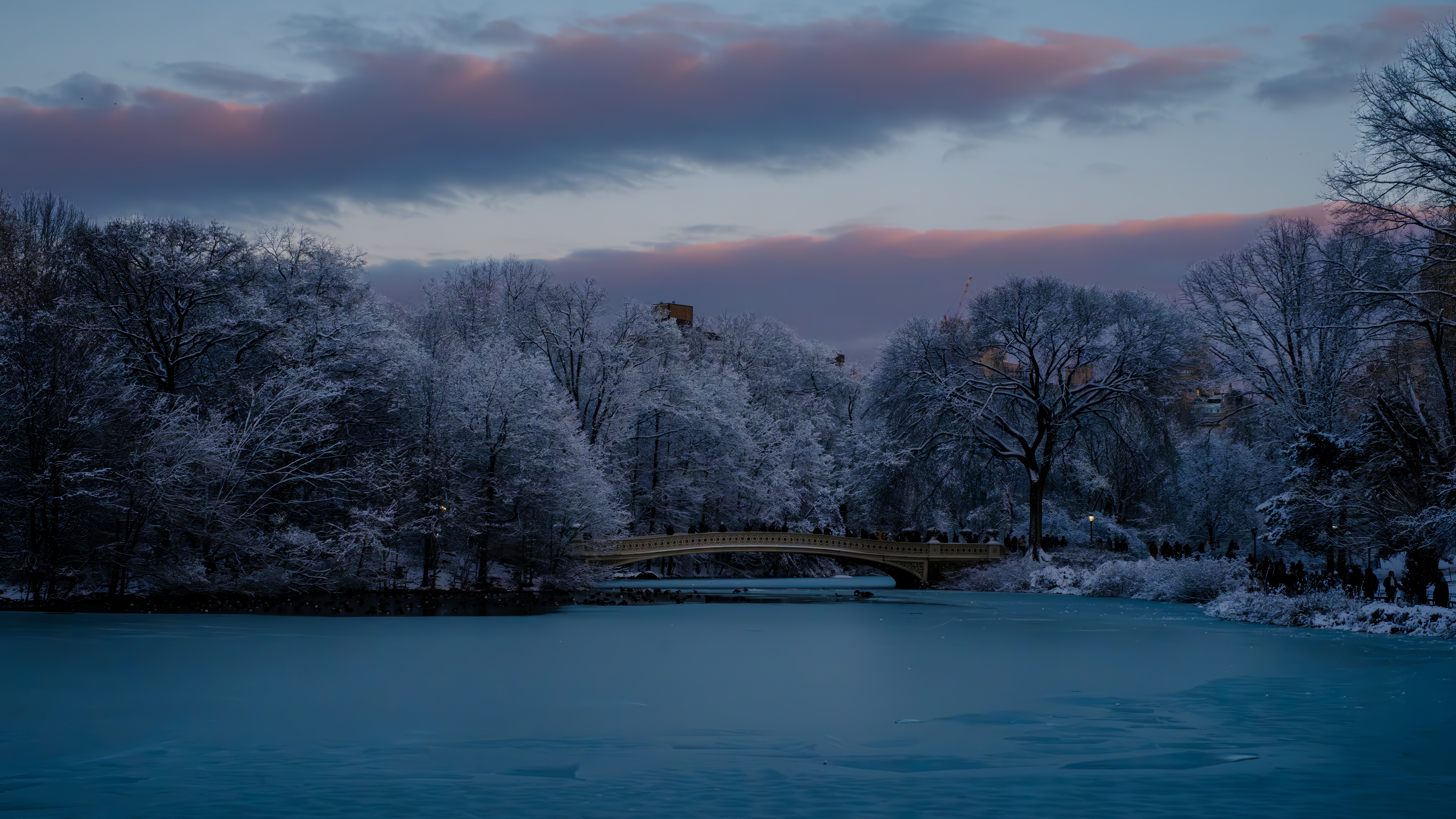 Bow Bridge, Central Park, in winter